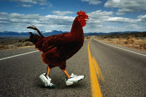 Image: Descubre el Emocionante Juego de Azar de Chicken Road en España